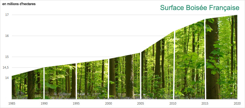 Surface boisée Française